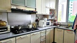 Park Green (D19), Condominium #496725411